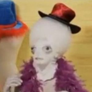 Meet your Posher, Anna